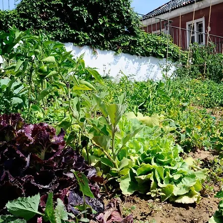 3 - Checkinhome Апартаменты Оэйраш